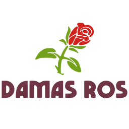Damas Ros 2 Kassel logo.